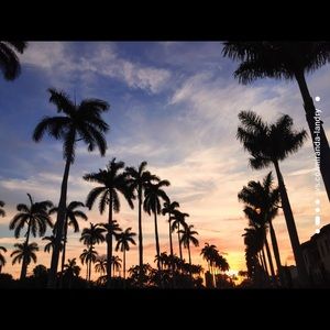 Meet your Posher, Miranda